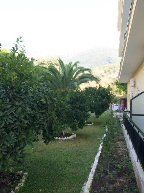 Hotel Galini パルガ エクステリア 写真